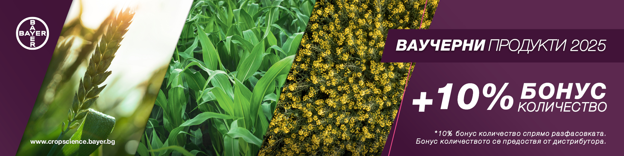 wheat and canola_Bayer_VoucherProducts_2025